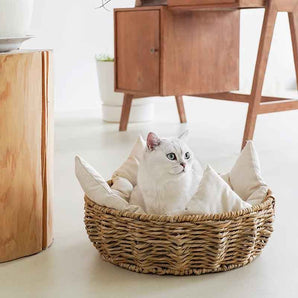 모조 등나무 짠 애완 동물 침대