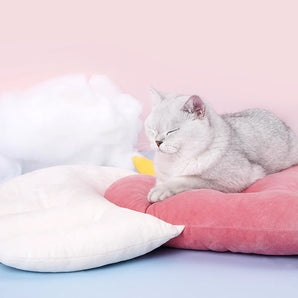 천사 날개 핑크 하트 고양이 침대